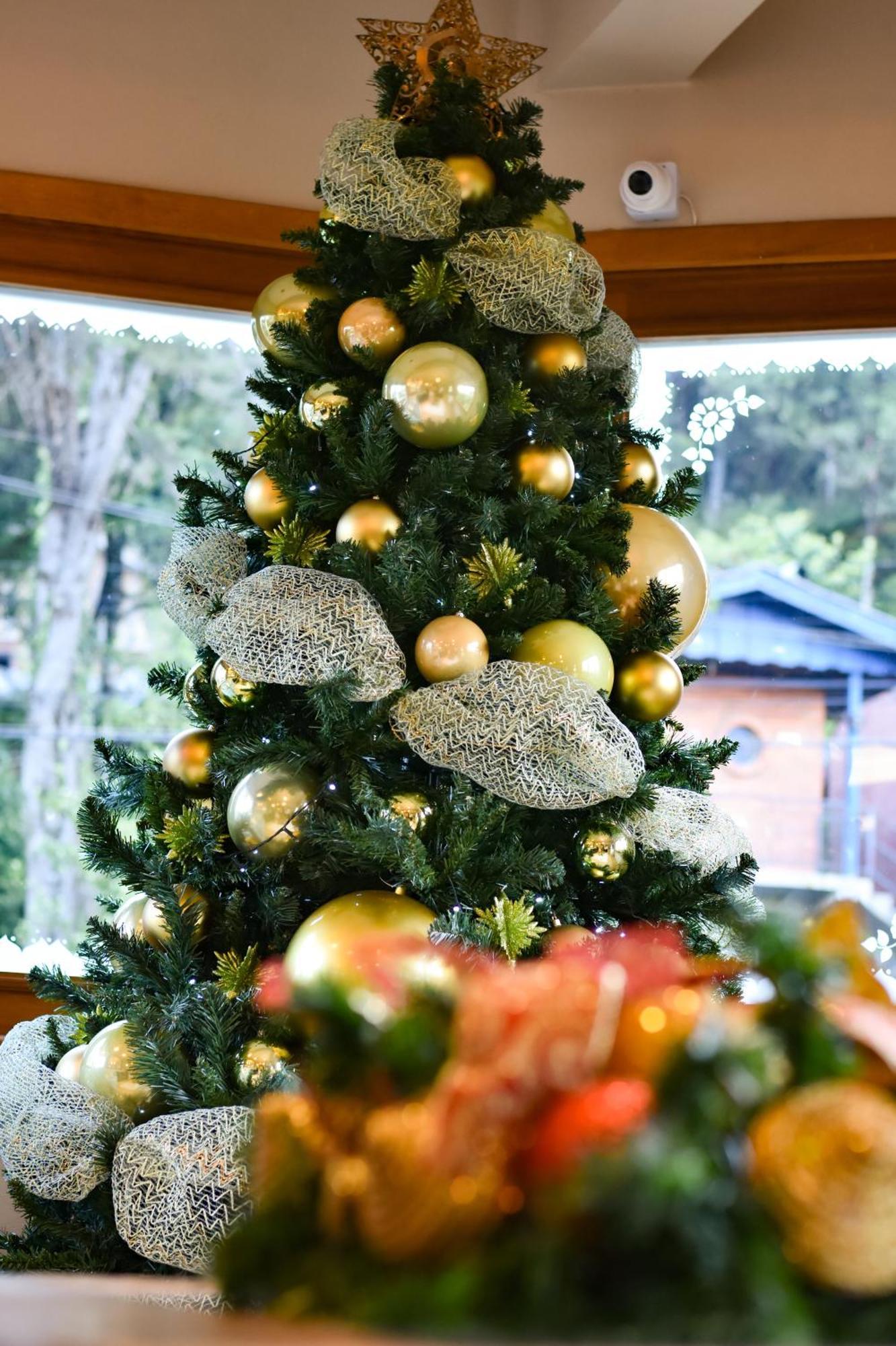 Pousada Borô Gramado Extérieur photo
